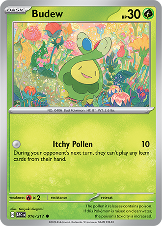 Karta Pokemon 016 217  Budew [Ascended Heroes].JPG